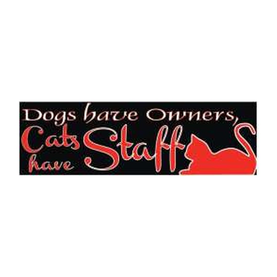 [10037E] 11.5X3 BMP STK DOGS-OWNERS