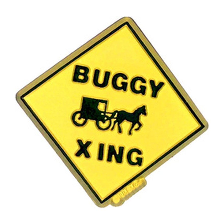 PLAS MAGNET BUGGY XING