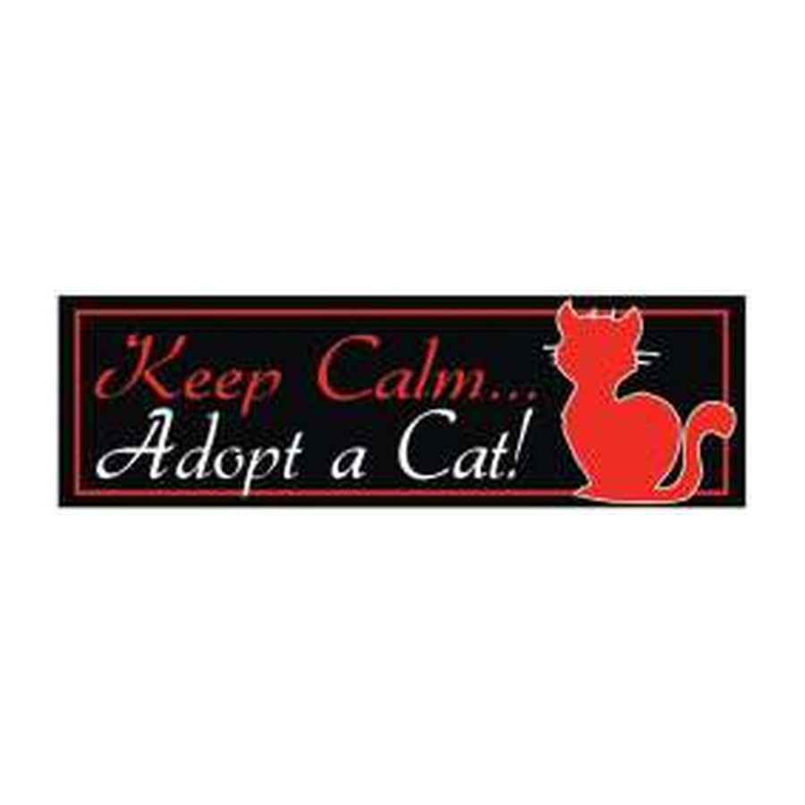 [10316] 9.75X3 BUMPER STICKER ADOPT A CAT