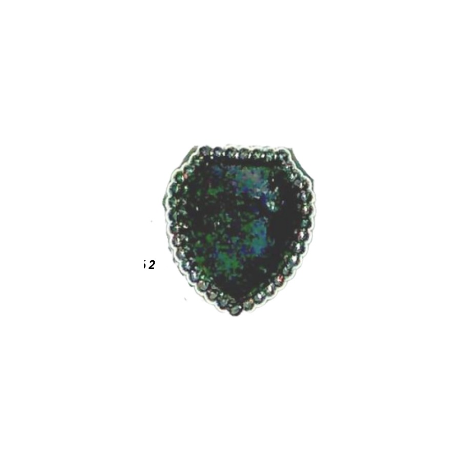 TAC PIN WITH SHIELD