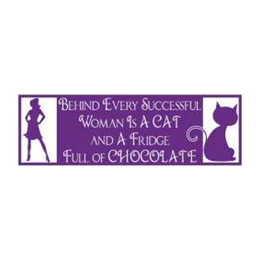 [10775] 9.75X3 BUMPER STICKER SUCCESSFUL WOMAN