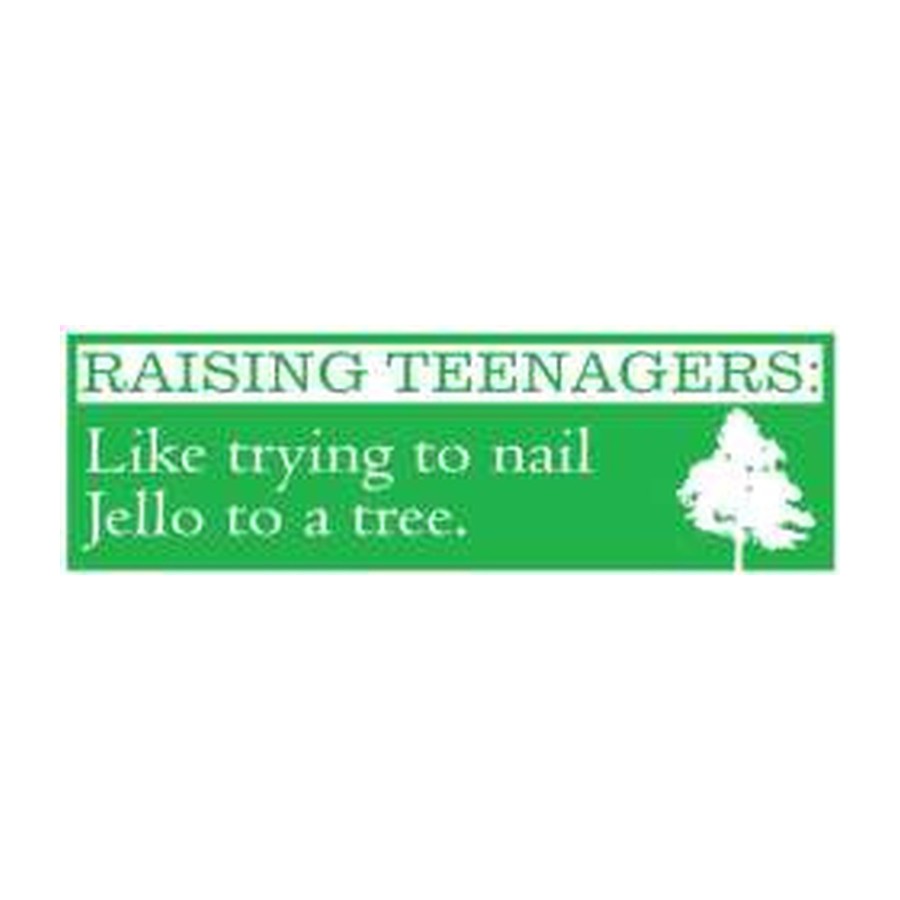 [10778E] 11.5X3 BMP STK RAISING TEENAGERS