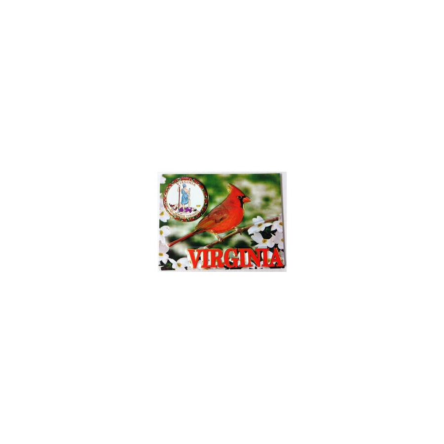 VA CARDINAL PVC EMBOSSED MAGNET/GOLD HIGHLIGHT