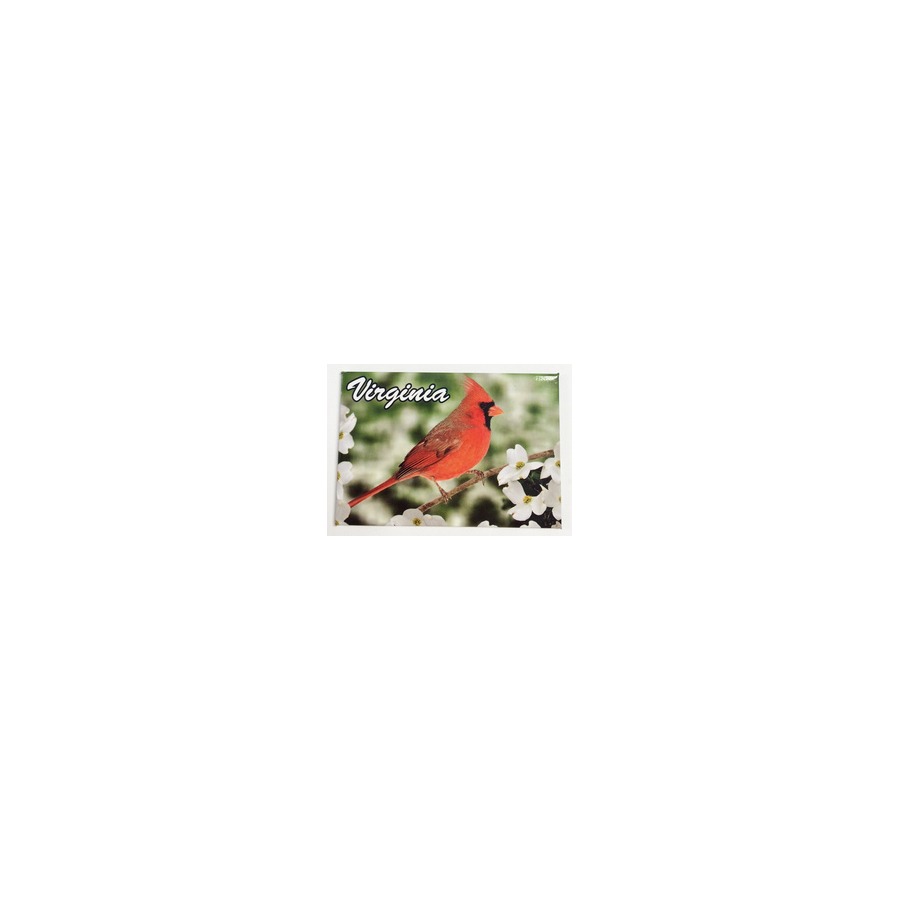 [20411] PHOTO MAGNET VIRGINIA CARDINAL