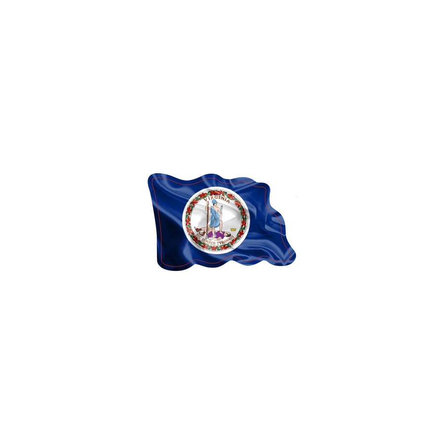 VA FLAG WAVING MAGNET DIE CUT EPOXY