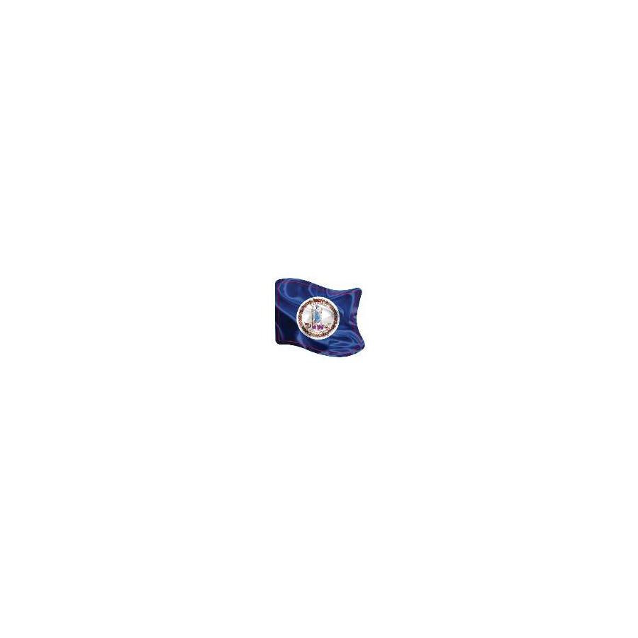 [20601] VA FLAG WAVING DIE CUT METAL KEYRING