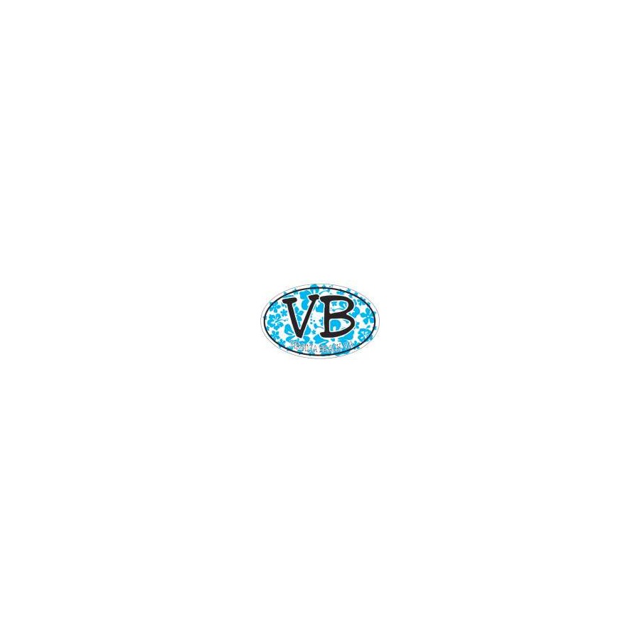 [30058] CAR MAGNET VB HIB BLUE OVAL