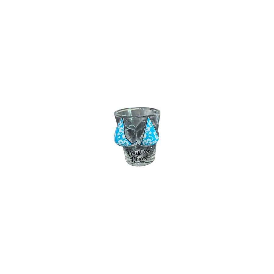 [30225] SHOT TOP BLUE HIBISCUS BIKINI VIRGINIA BEACH VB