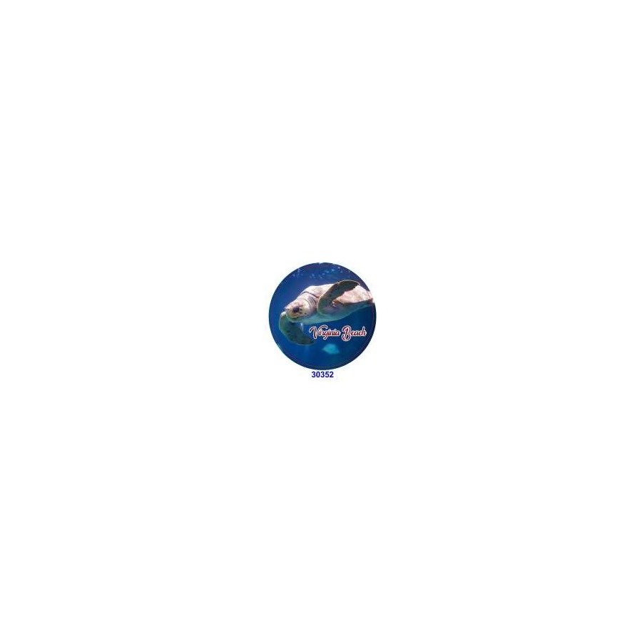 TURTLE VIRGINIA BEACH ROUND MAGNET EPOXY