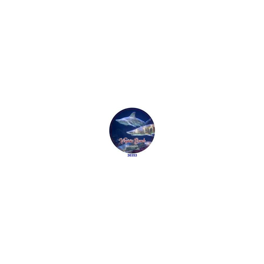 SHARKS VIRGINIA BEACH ROUND MAGNET EPOXY