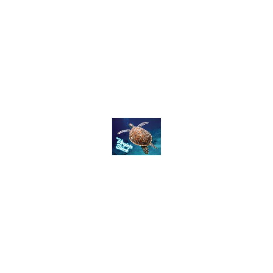 PVC EMBOSSED MAGNET VB TURTLE