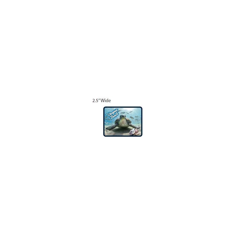 [30815] EPOXY RECT TURTLE VB MAGNET
