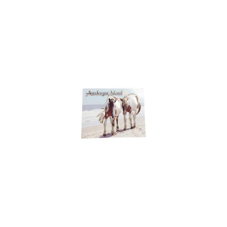 AI PONY PVC EMBOSSED MAGNET/ GOLD HIGHLIGHTS