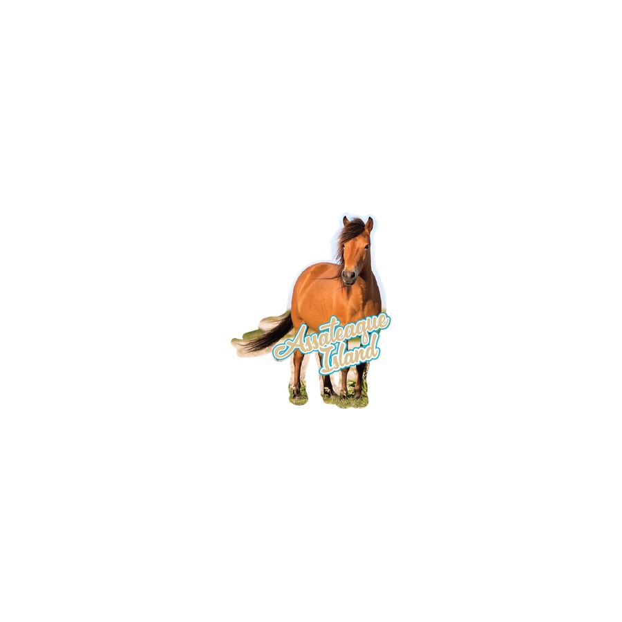 [32007] PONY AI MAGNET DIE CUT EPOXY