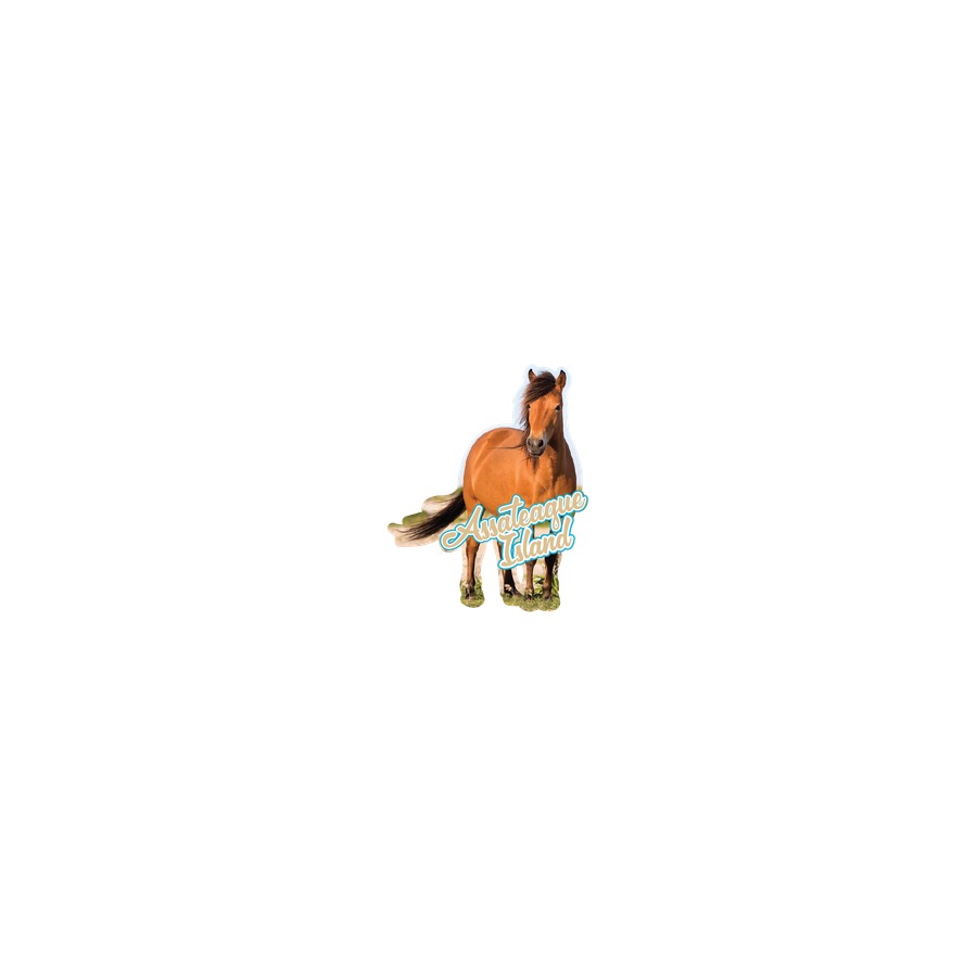 AI PONY DIE CUT KEYRING
