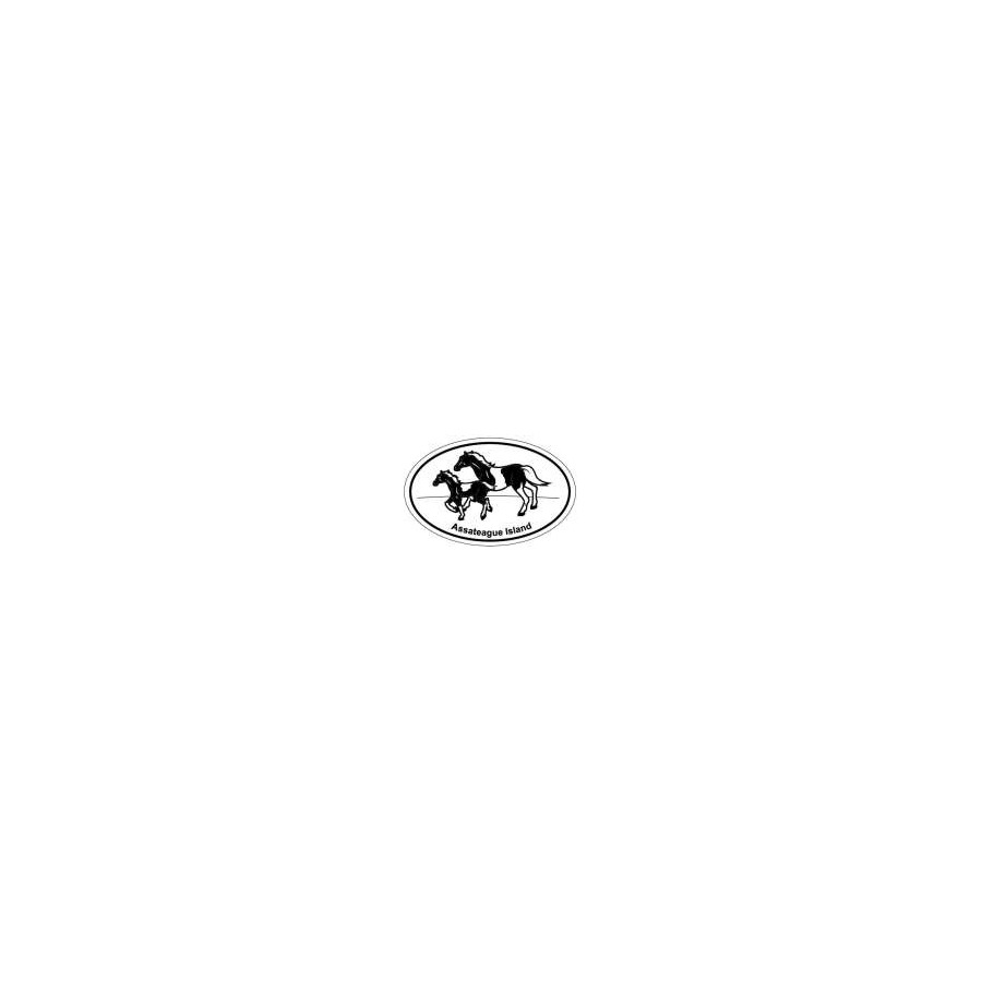 [32105] MGT CAR OVAL AI PONIES