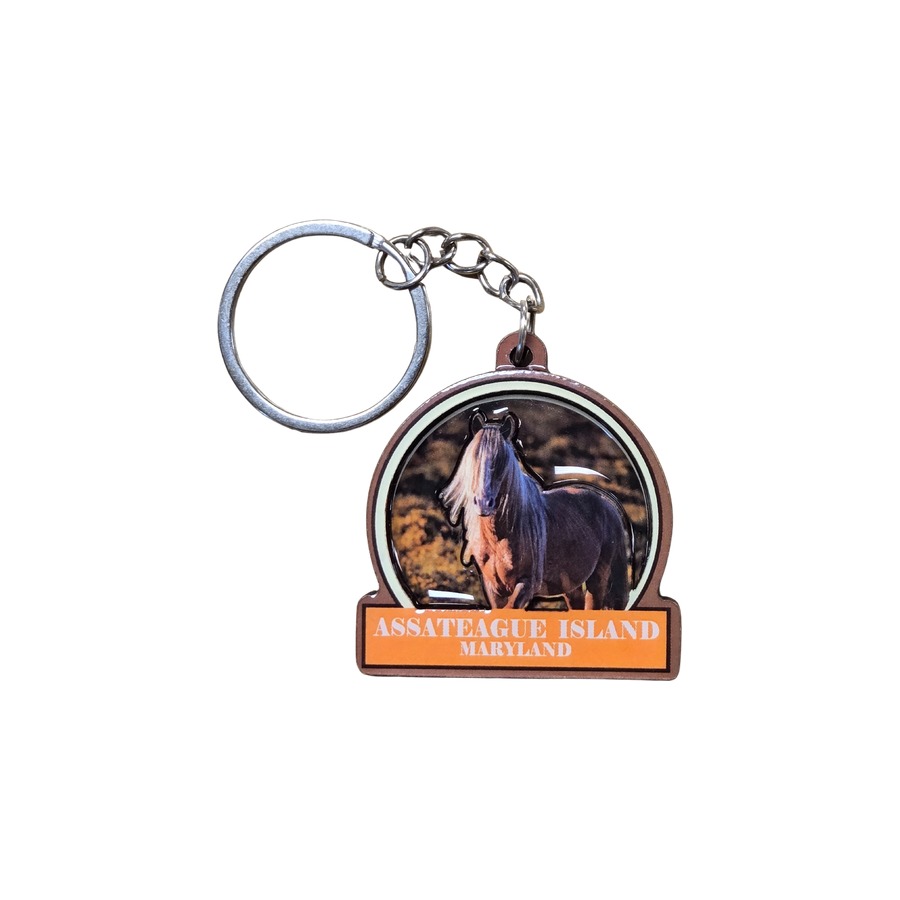 [32390] AI ASSATEAGUE HORSE YELLOW CIRCLE 2-LEVEL EPOXY DECO KEYRING
