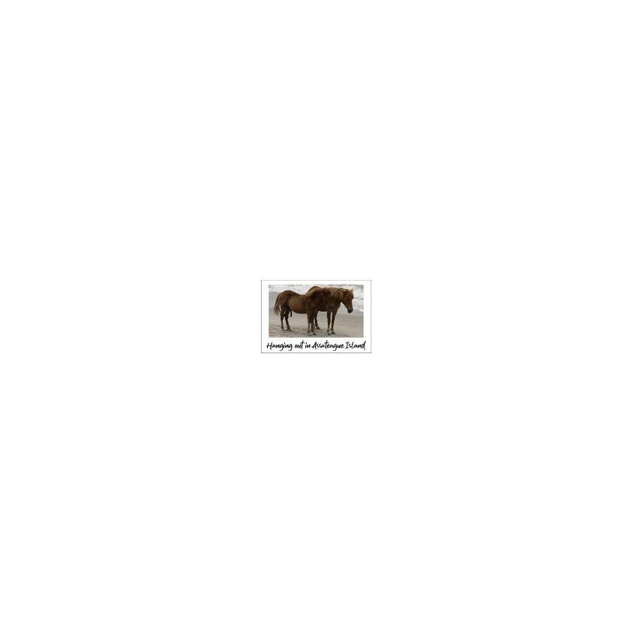 POSTCARD AI HANGING OUT PONY