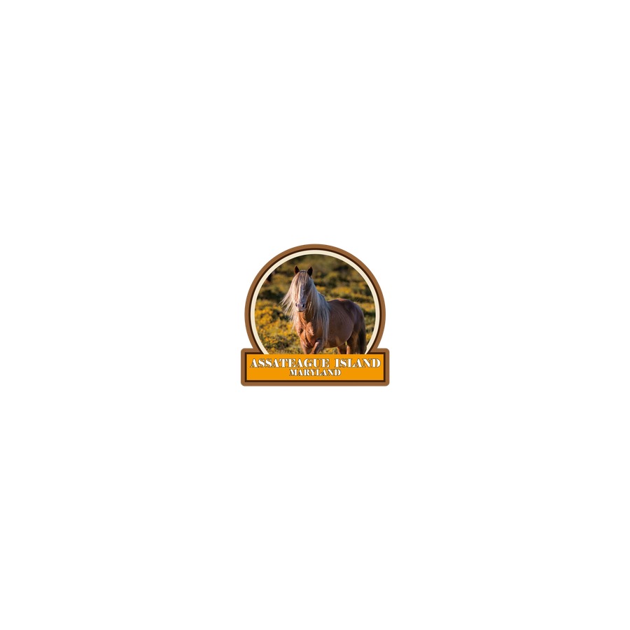 AI ASSATEAGUE HORSE YELLOW CIRCLE 2-LEVEL EPOXY DECO MAGNET