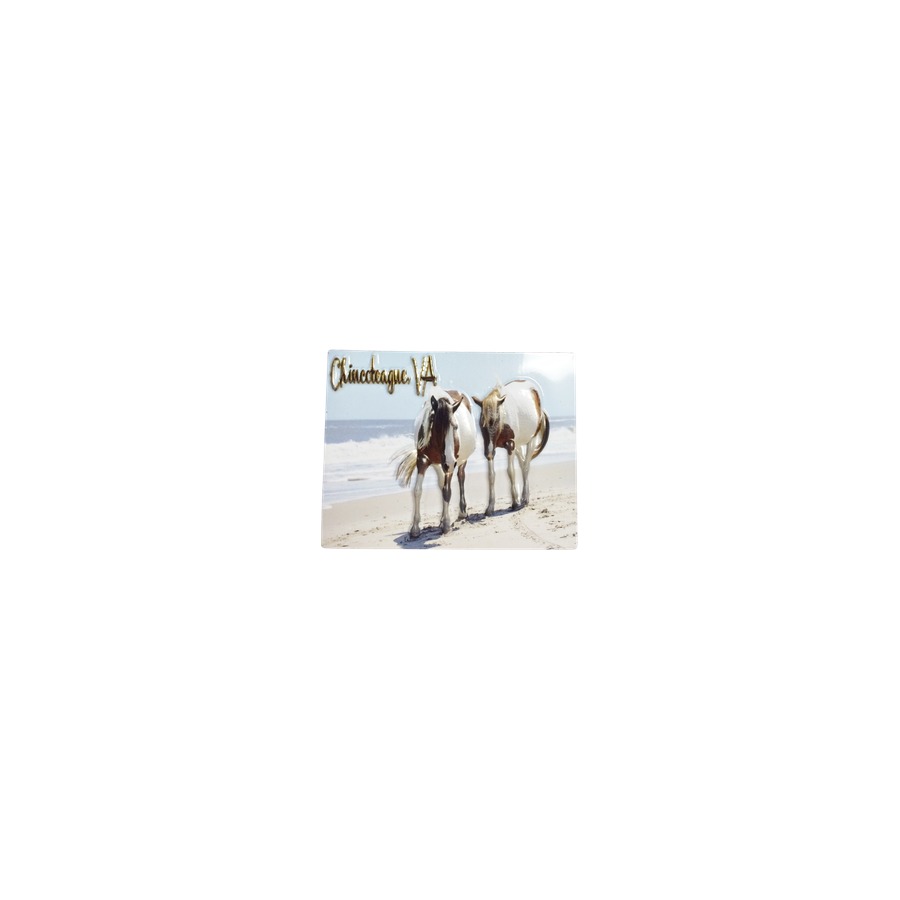 [33001] CI PONY PVC EMBOSSED MAGNET/ GOLD HIGHLIGHTS