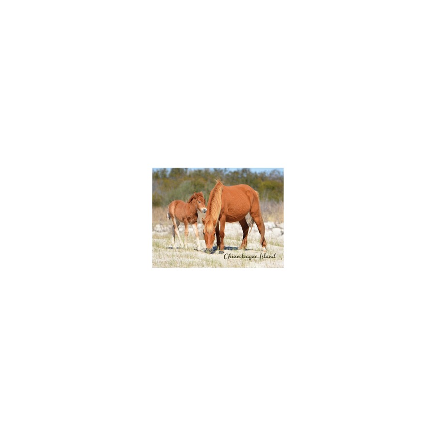[33004] CI MOTHER & COLT PVC EMBOSSED MAGNET/ GOLD HIGHLIGHTS