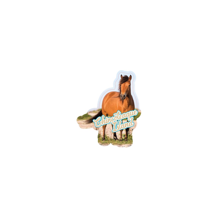 [33007] PONY CI MAGNET DIE CUT EPOXY