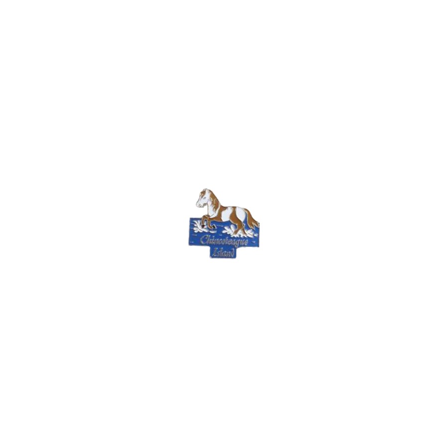 [33247] TAC PIN CHIN PONY SWIM