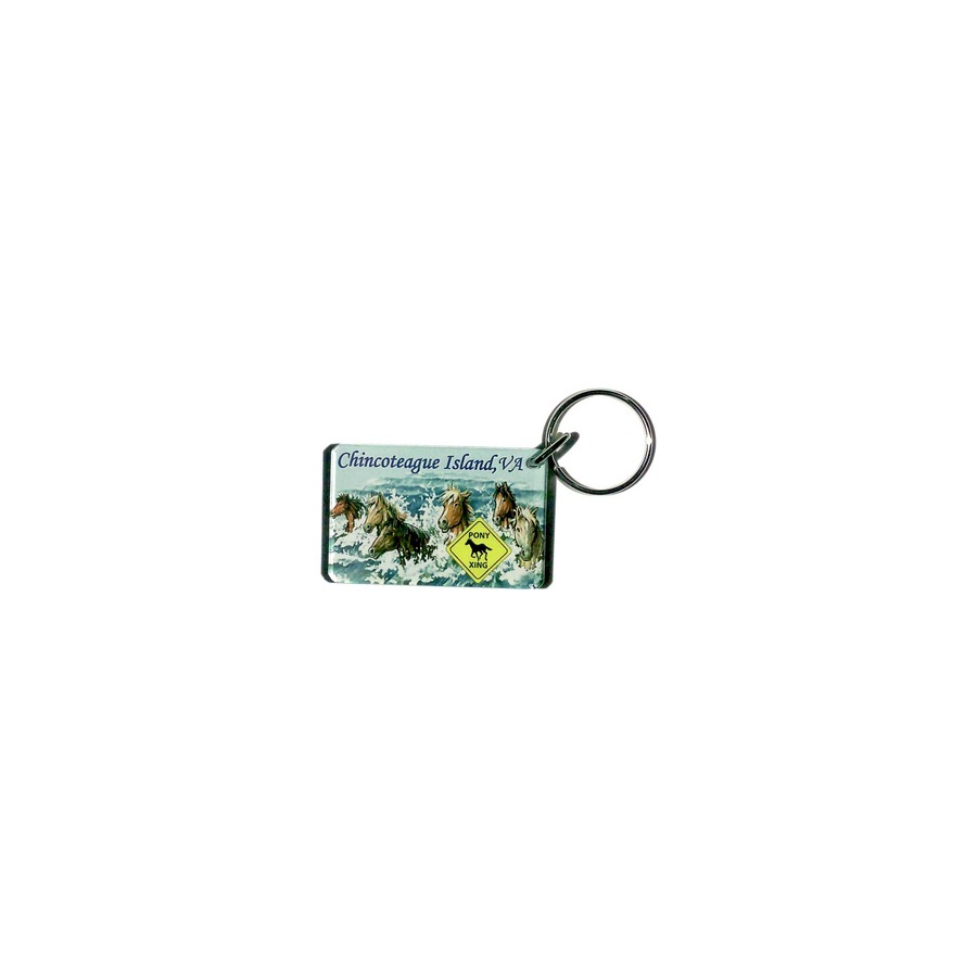 KEYRING EPOXY CI PONY SWIM