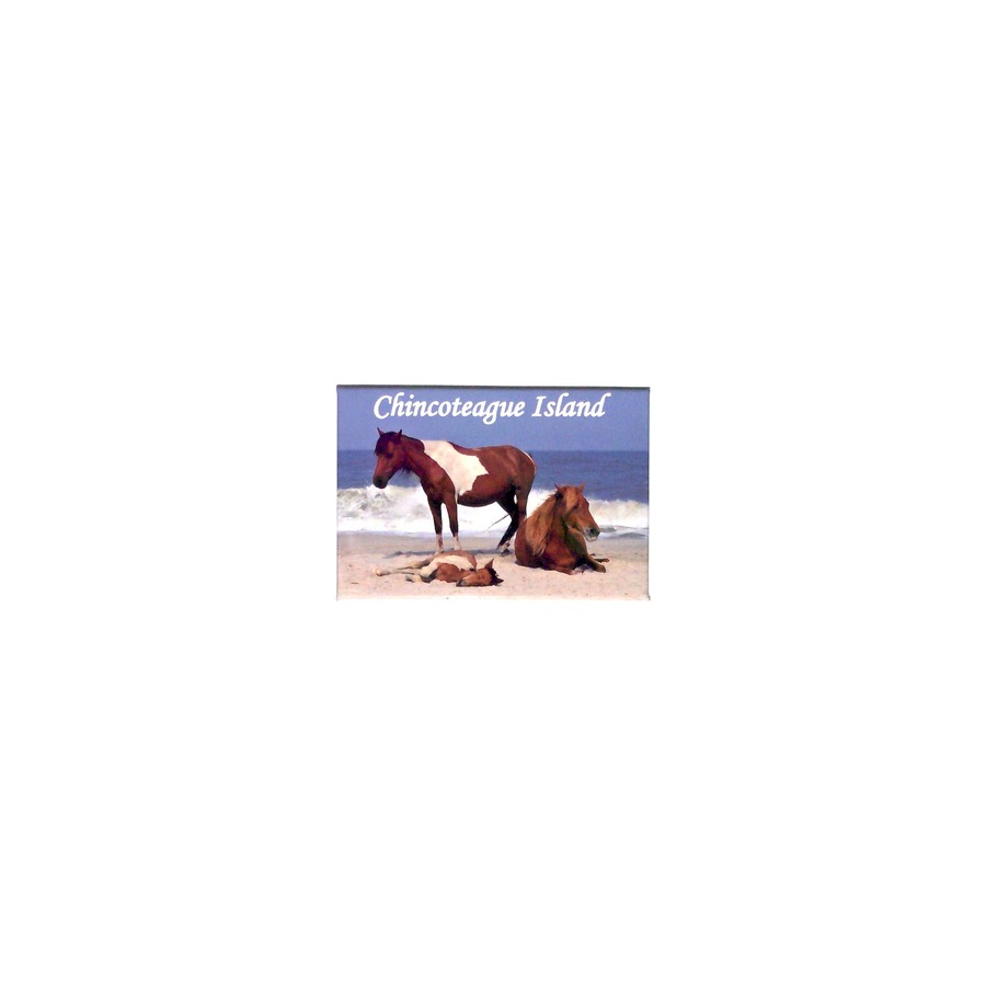 [33311] PHOTO MAGNET CHIN BEACH HORSE
