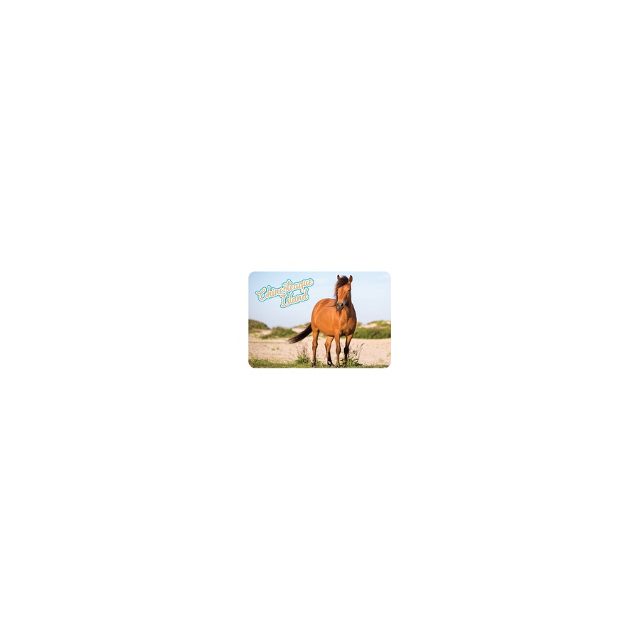 PLAYING CARDS CI HORSE STANDING