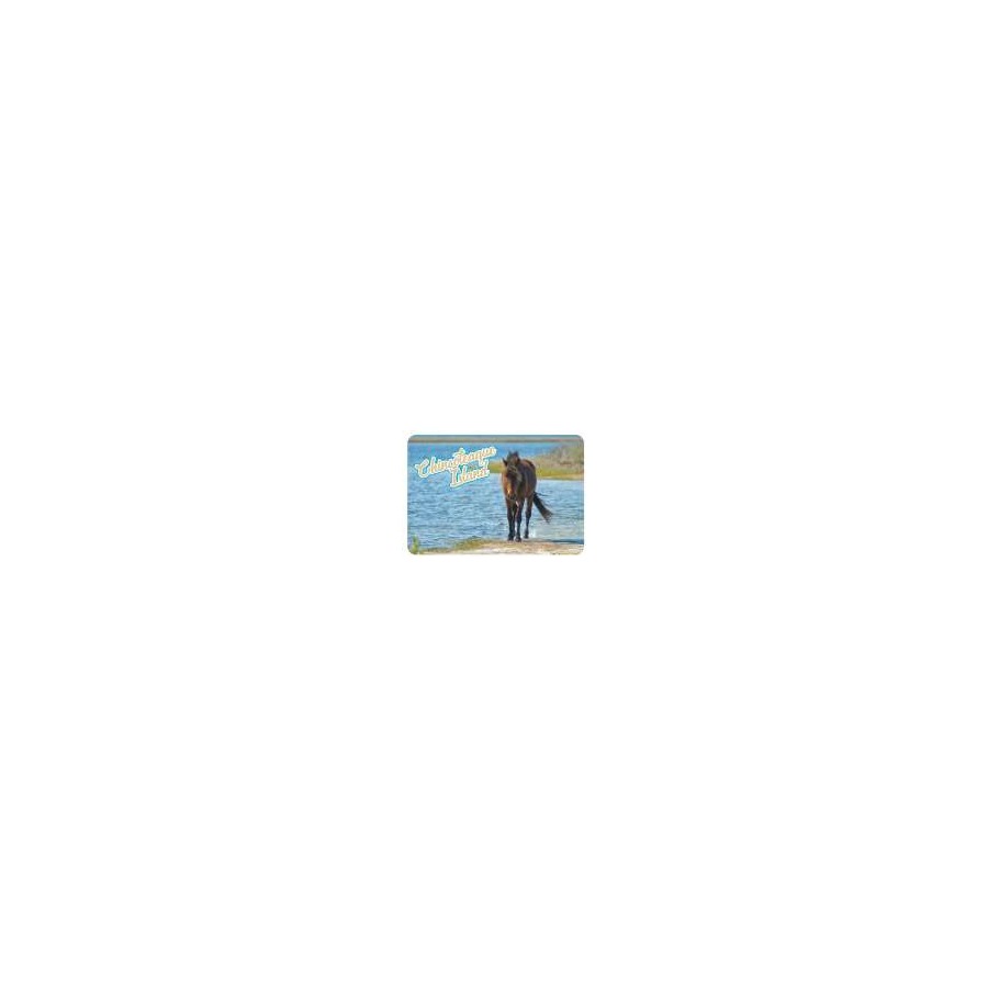 [33346] PLAYING CARDS CI HORSE WALKING THROUGH WATER