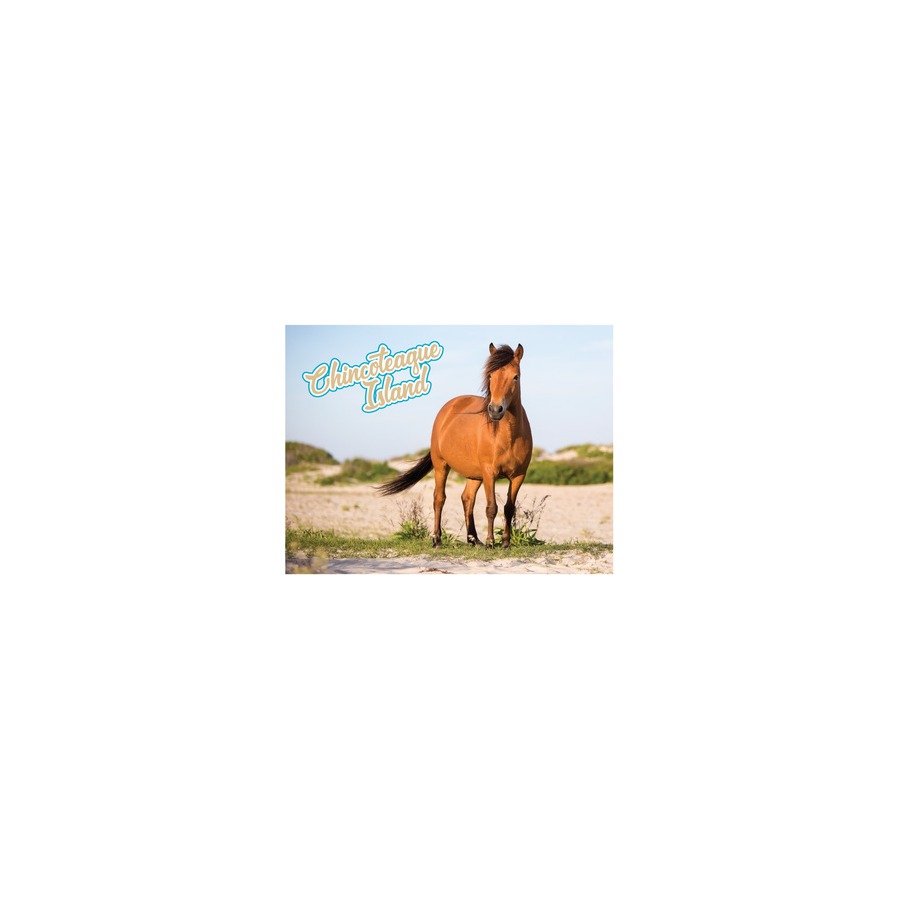 [33347] CI HORSE PVC EMBOSSED MAGNET/ GOLD HIGHLIGHTS