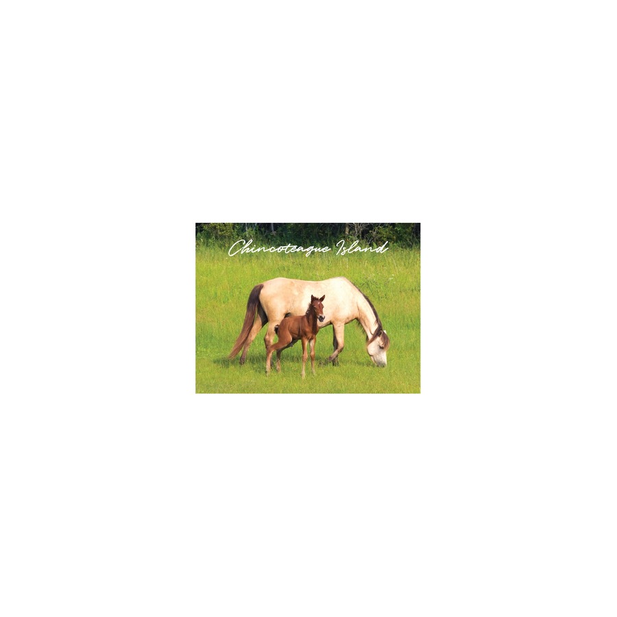 [33348] CI MOTHER & COLT (GREEN) PVC EMBOSSED MAGNET/ GOLD HIGHLIGHTS