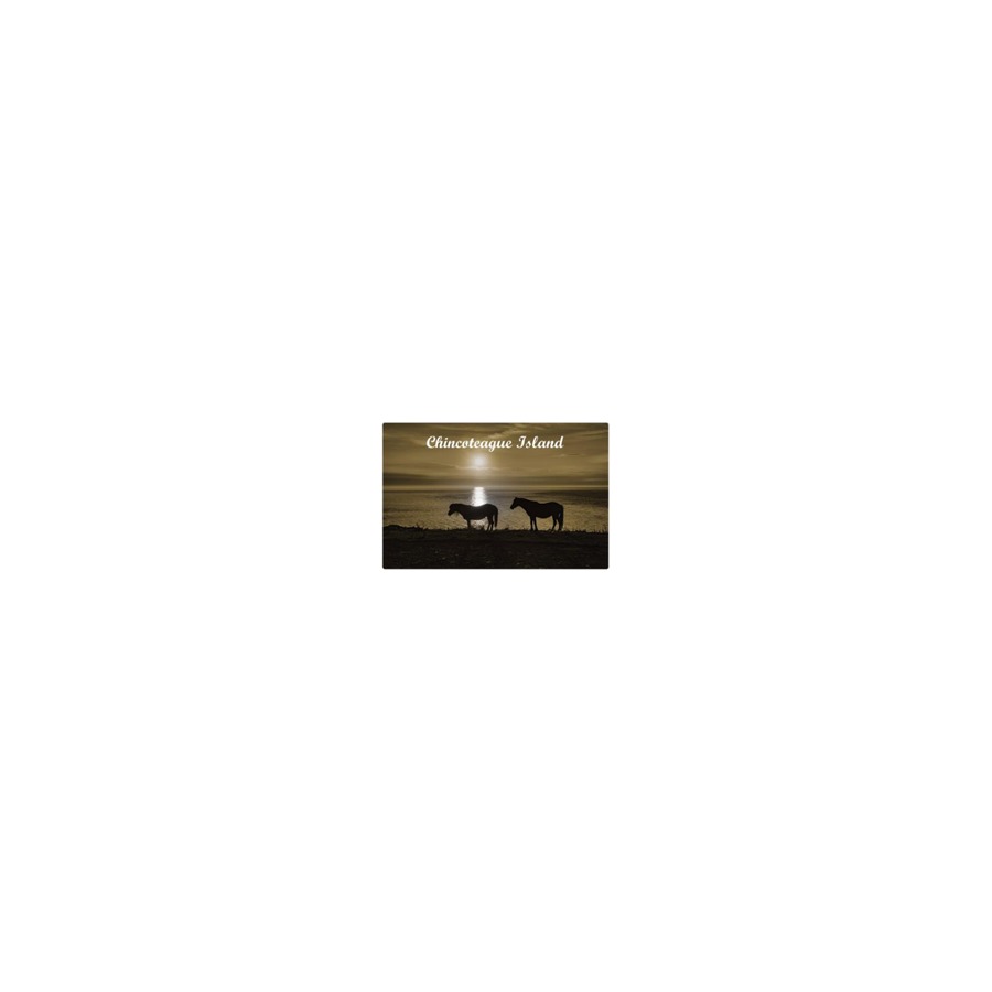 [33351] CI CHINCOTEAGUE HORSE SILHOUETTES EPOXY DECO MAGNET