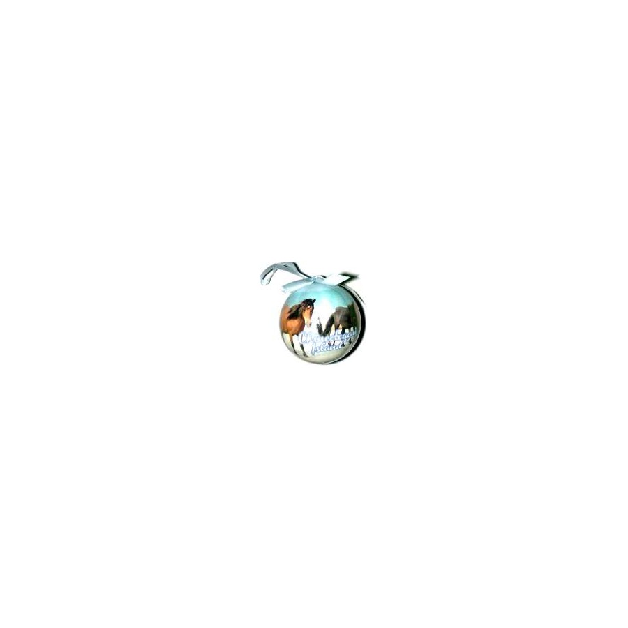 [33539] BALL ORNAMENT CHINCOTEAGUE ISLAND PHOTO