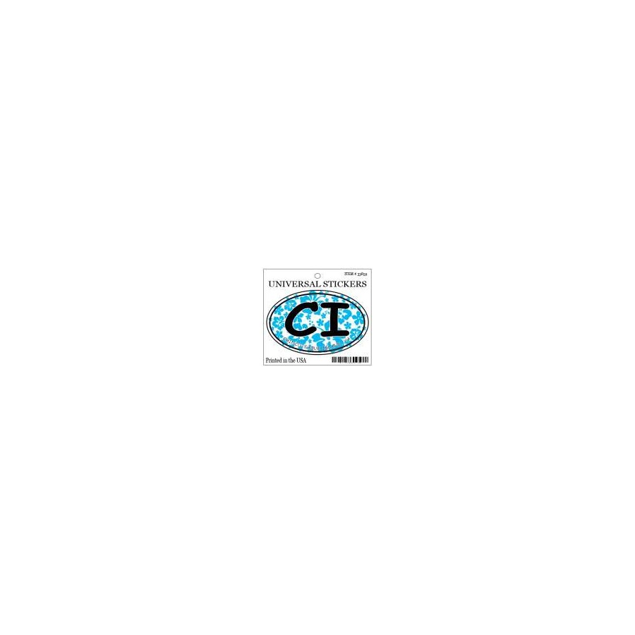 [33859] HANGING OVAL STICKER CI HIBISCUS BLUE
