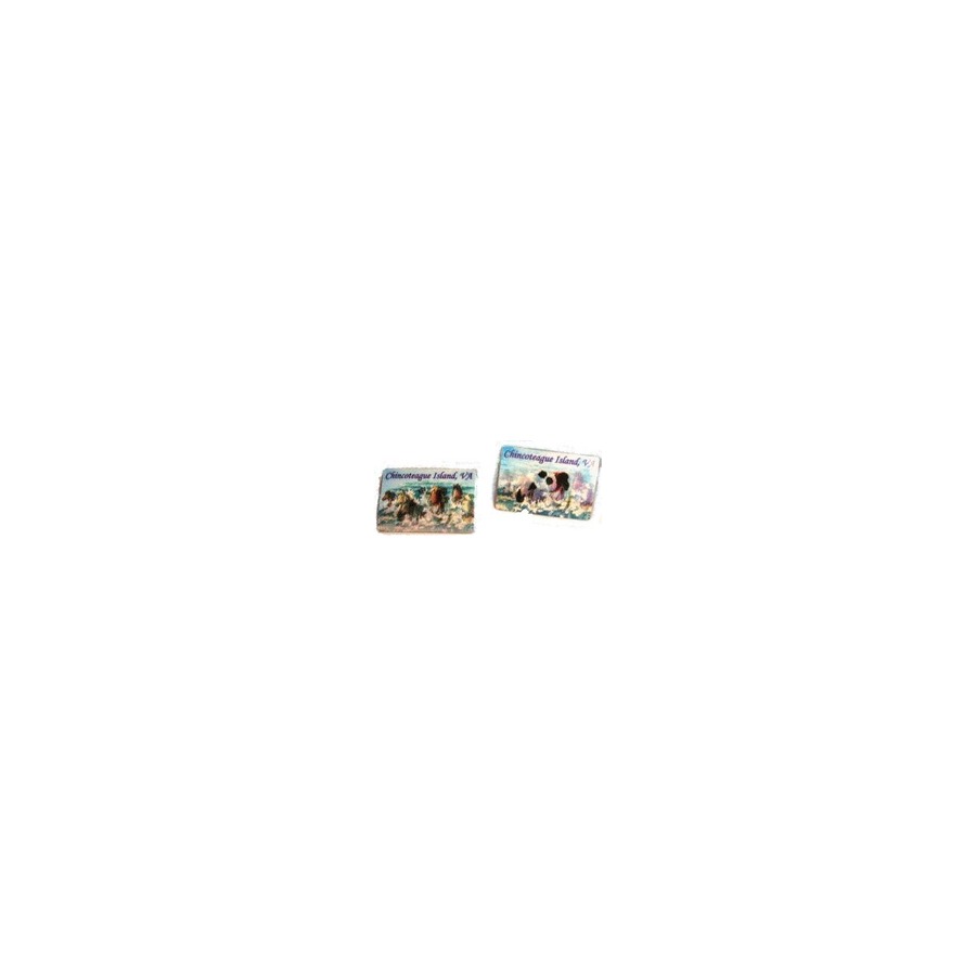 [33911] MAG HOLO CHIN PNSW LEFT-RIGHT!