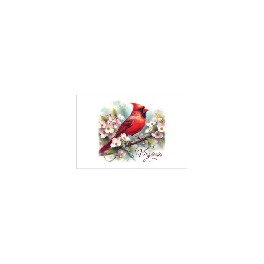 [34716] POST CARD NORFOLK VA CROSS ANCHORS RED WHITE BLUE