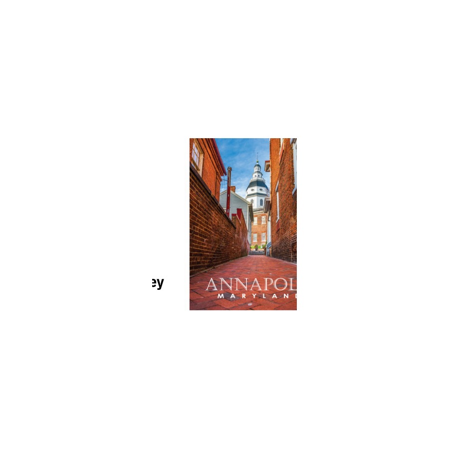 [65615] PVC EMBOSSED MAGNET ANNAPOLIS ALLEY BRICK DOME W/ GOLD HIGHLIGHTS