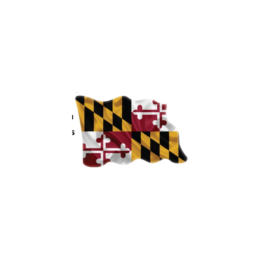 MD FLAG WAVING MAGNET DIE CUT EPOXY