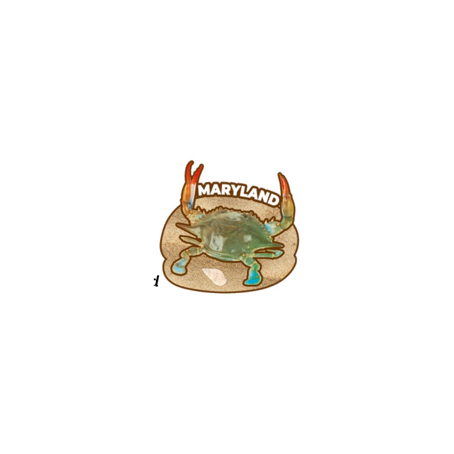 MD NATURAL CRAB SAND W/ REAL SHELL 2-LEVEL EPOXY DECO MAGNET