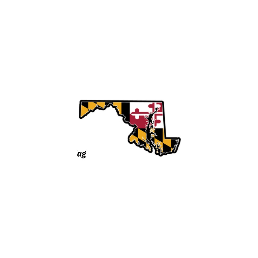 PATCH MD FLAG STATE OUTLINE DIE CUT