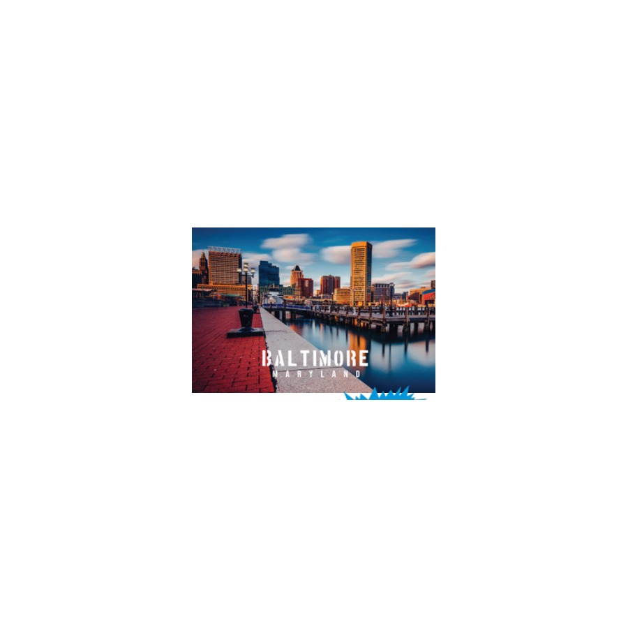 PLAYING CARDS BALTIMORE DAY INNER HARBOR SKYLINE