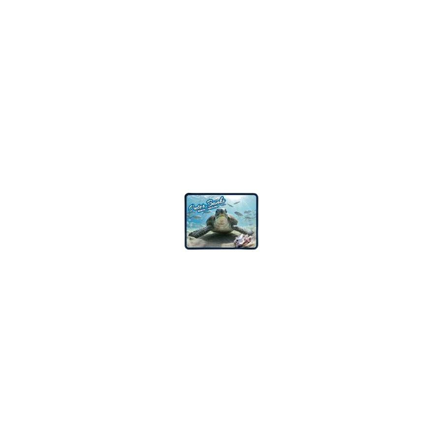 [74072] FOIL EPOXY DECO MGNT TURTLE OBX