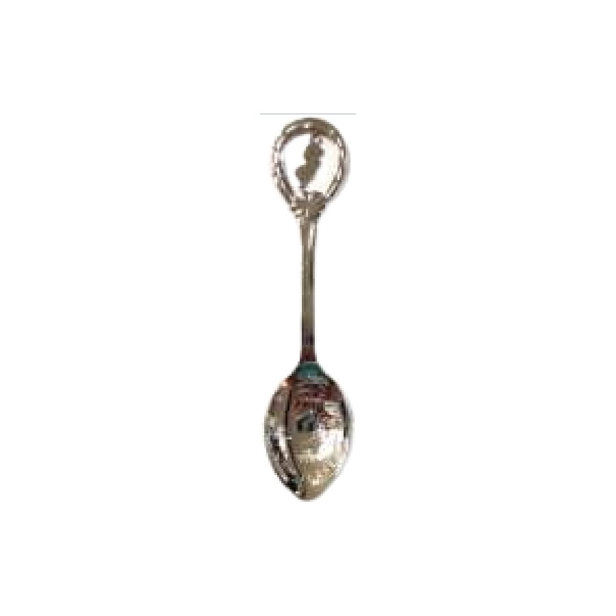 [76387] SPOON NEW JERSEY MAP DANGLE