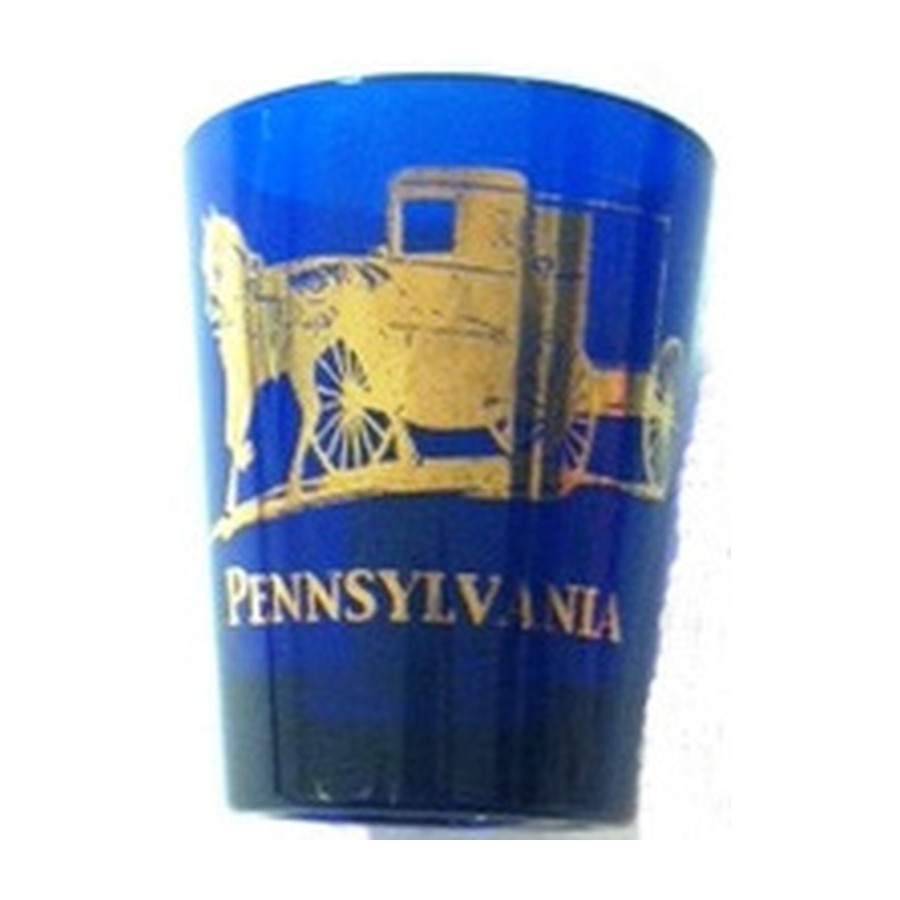 [85625] SHOT COBALT BLUE PA H&C