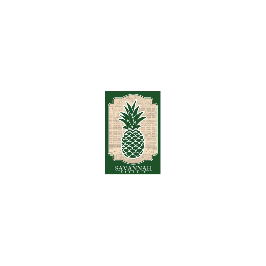 PINEAPPLE SAVANNAH GREEN CITY MAP 2X3 METAL MAGNET