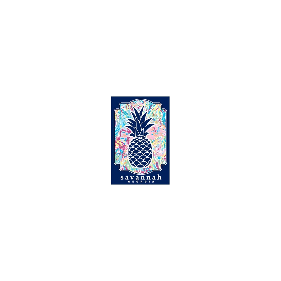 [86322] PINEAPPLE SAVANNAH BLUE COLOR PATTERN 2X3 METAL MAGNET