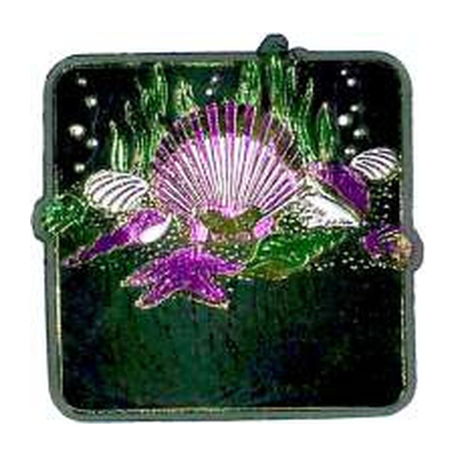 [10079] PLAS MAGNET SEASHELL IMPT