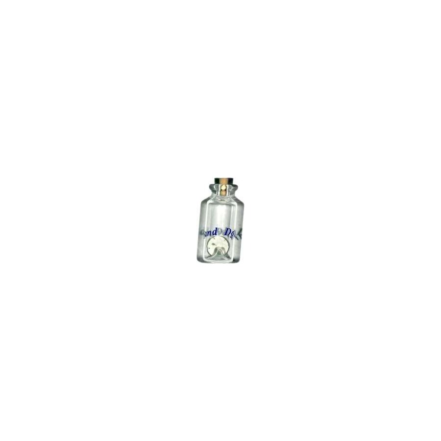 [33713] SAND DOLLAR IN BOTTLE "CHINCOTEAGUE ISLAND, VA"